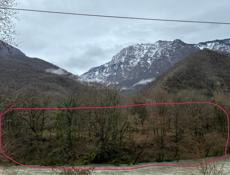 Райский гектар 