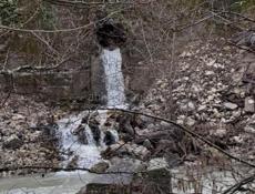 Райский гектар 