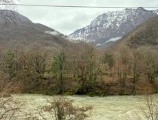 Райский гектар 