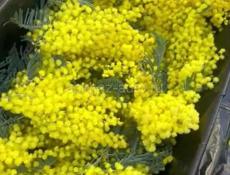 Предложу взаимовыгодное предложение