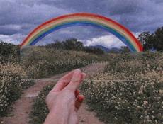 Куплю индюшинные яица