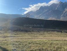 Расчистка участка 