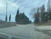 ЛАПСТАРХА Цандрыпше 