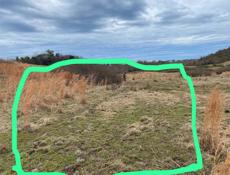 ЛАПСТАРХА Цандрыпше