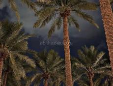 Продаю или обменяю 