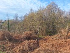 покос травы