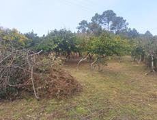 покос травы