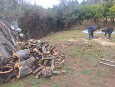 покос травы