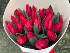 Тюльпаны оптом