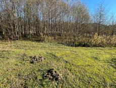 Очень срочно 