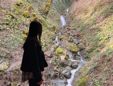 СНИМУ квартиру в центре на длительный срок 