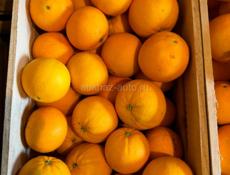 Апельсины 
