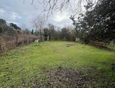 Землельный участок 6 соток Пицунда цитрусовый 