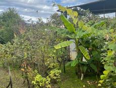 Улица Чанба