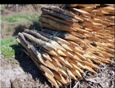 Колышки по 250-300₽ связь 9961888