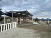 На берегу моря . Под кафе 