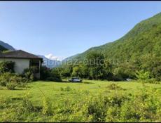 Рица продажа ‼️