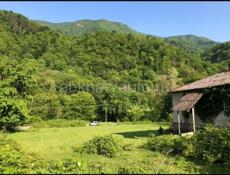 Рица продажа ‼️