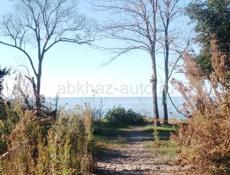 На берегу моря 