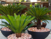 Гостиница 12 номеров в аренду 