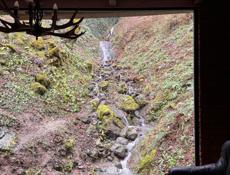 СНИМУ квартиру в центре 