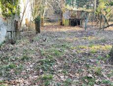 Сехарулт до 15 сотки 