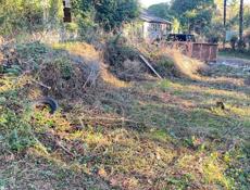 Сехарулт до 15 сотки 