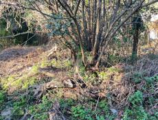 Сехарулт до 15 сотки 