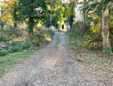 Сехарулт до 15 сотки 