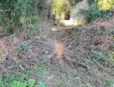 Сехарулт до 15 сотки 