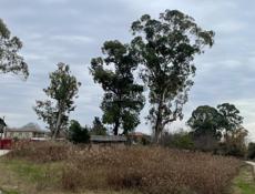 Продажа Родник 