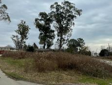 Продажа Родник 