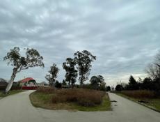 Продажа Родник 