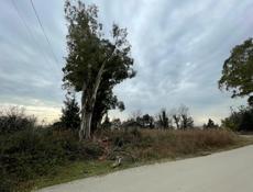 Продажа Родник 