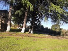 Участок 50 соток