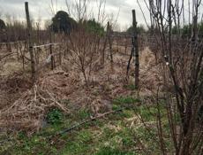 Продается Дом 