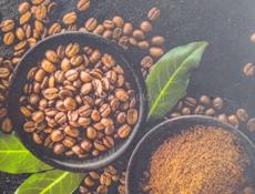 Срочно ищу работу