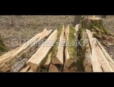 Колушки акация 