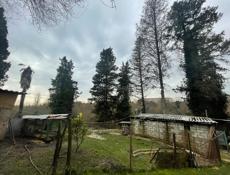 Продажа обмен на Машину