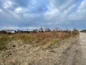 Цандрипш 15 соток 