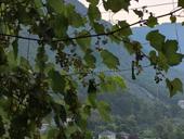 Сниму квартиру.