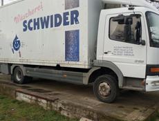 Доставка мимозы