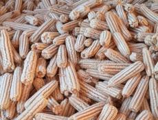 Кукуруза 🌽