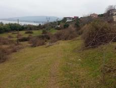 Срочная продажа !Каштак!