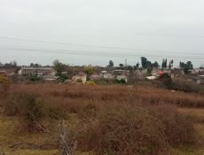 Срочная продажа !Каштак!