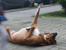 Теплый сухой дом 