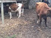 Все вопросы по телефону 