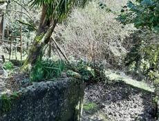 Дом в Сухуми.