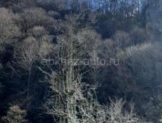 Дом в Сухуми.