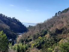 Дом в Сухуми.